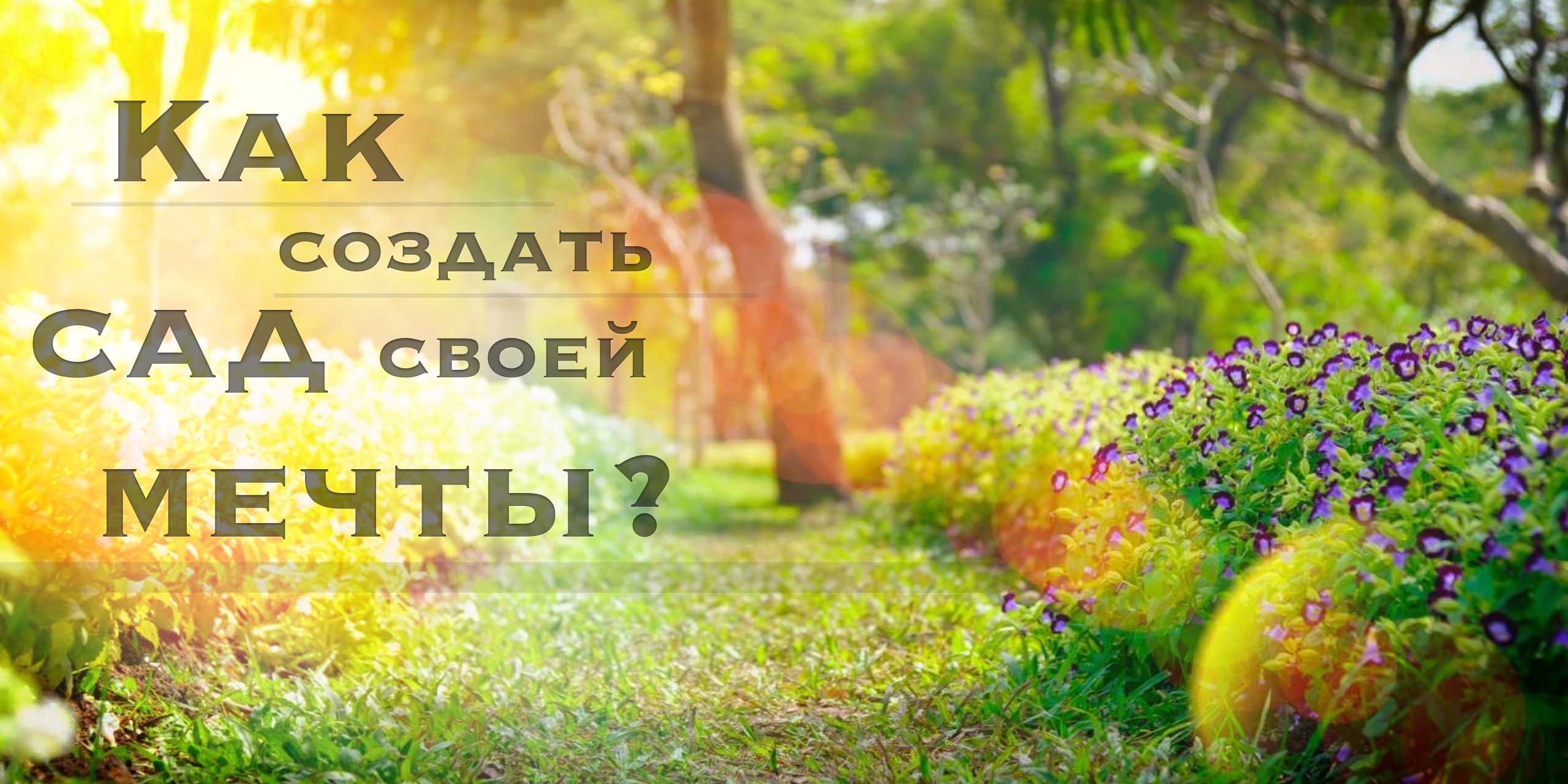 img/promo-img-2.jpg?v1569879594